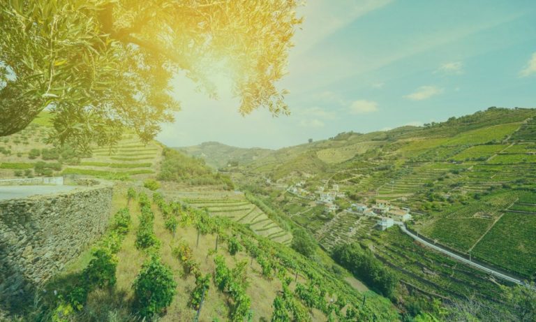 douro-vallei-portugal-2-e1615220843845