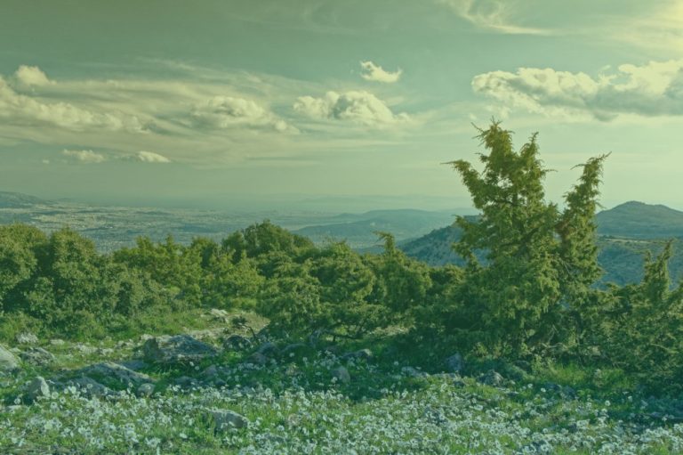 griekenland-parinthas-uitzicht-op-athene-3