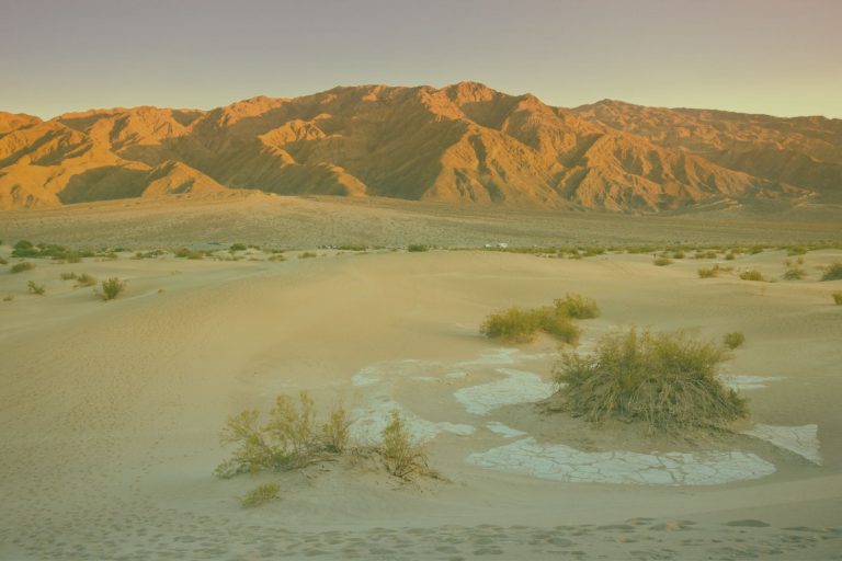 xrddafdqk5fgdo2j28679278372t22061510