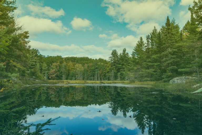 istock-1225386696-algonquin-provincial-park-filter-768x512