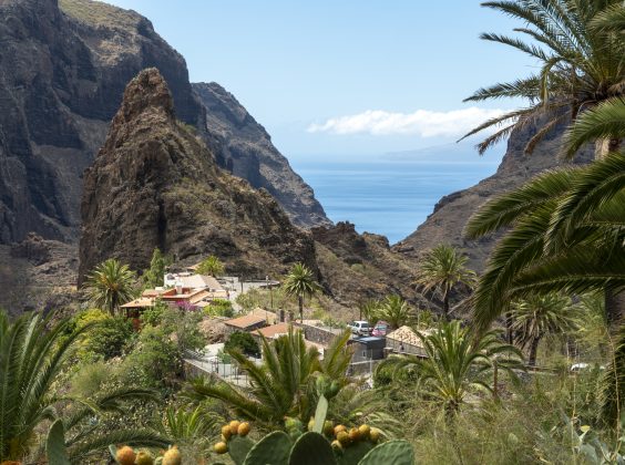 5 conseils pour visiter Tenerife en voiture de location