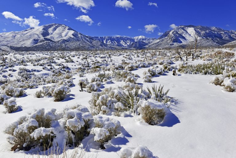 snow-covered-alpine-terrain-in-the-mount-charleston-region-popular-hiking-and-climbing-spots-in-the-spring-mountains-near-las-vegas-nevada