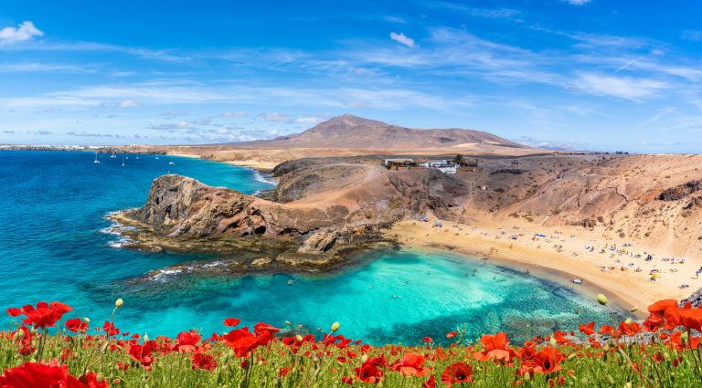 landscape-with-papagayo-beach