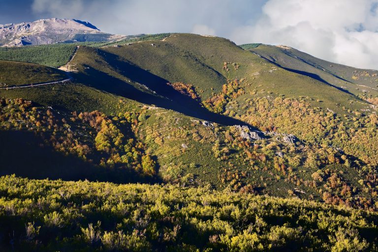 pico-del-lobo-in-the-sierra-norte